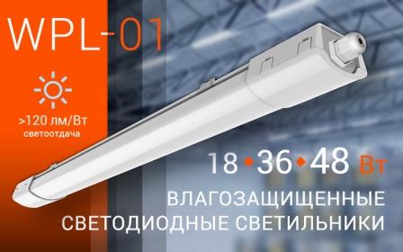 ������� ����������� ����� WPL-01 �� �������� Wolta